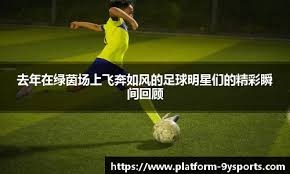 九月打野梯度榜：“海尔兄弟”携手晋级T2，司马懿T1太合理了